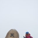 샘물상회 이미지