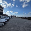 (주)제주왕 | [제주 맛집]성산일출봉 갈치조림 맛집 갈치왕 성산점