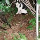 이강농장 이미지