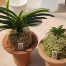 보금농장 이미지