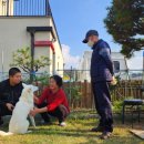 미용하는 훈련사 이미지