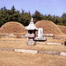 전주이씨 광평대군파 묘역 이미지