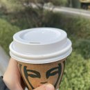 비알던킨도너츠인천공항7호 | [방콕] 240318첫째날-서울역 공항철도, 진에어, 클룩klook후기