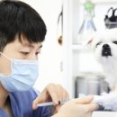 본동물메디컬센터 24시수성점 네이버블로그