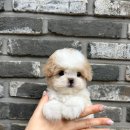 르달링