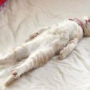 역삼-1744 이미지