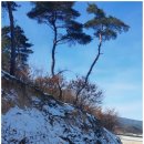 키즈풀빌라펜션기억해 이미지