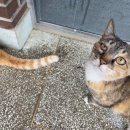 화평농장 이미지