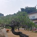 태경조경 이미지
