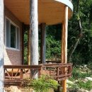 소나무 전경 이미지