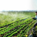 사동농장 이미지