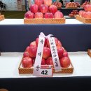장수사과 - 목포시 하당로 189 | 장수사과