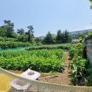 대구문성초등학교 이미지