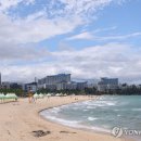삼척해수욕장 파이낸셜뉴스