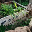 낭안트레 민박 이미지