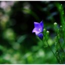 하루하루하루 이미지