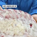 청춘어락 이미지