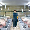 민근농장 이미지