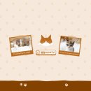 현대글로비스오토벨시화센터(시화경매장) 이미지