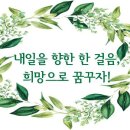 북난타(야간) 이미지