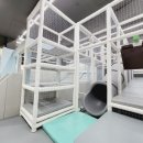 키즈방방 이미지