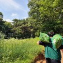 부락종합사회복지관 이미지