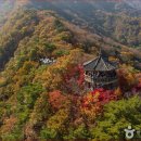 "여기 숙박비 1만 원 진짜예요?" 새로 개장하는 자연휴양림 가을 풍경 힐링 명소 이미지