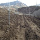 강선농장 이미지