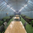 당나루 | 당진여행 당나루물꽃마을 워케이션 힐링여행후기