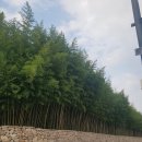 이마트24 죽녹원점