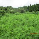 남원읍-15 이미지