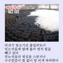 매일양식2