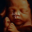 동물의왕국 동물병원 | 25년10월 일기