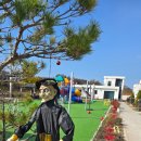 쥬라기풀빌라 | [태안키즈풀빌라] 태안 키즈풀빌라 아이랜드 이용후기