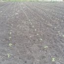 유전2농장 이미지