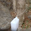 의신민박 이미지