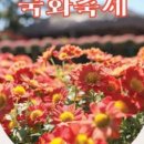 제주민속촌 이미지