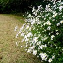 팔봉농장 이미지