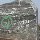 갯벌의 추억 이미지