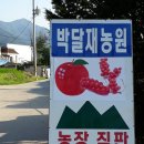 구학산농장 네이버블로그