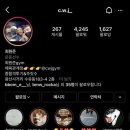 MMASTORY 복싱과 주짓수 이미지