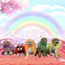 바우라움 수원신갈캠퍼스 이미지