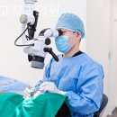 고치과의원 이미지