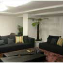 생활속의 조경이야기 이미지