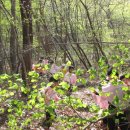 꿈나무유치원 이미지