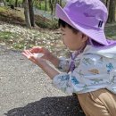 다목초병설유치원 이미지