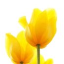 부자농장3 이미지