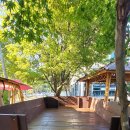 카페마차 이미지