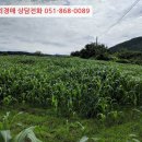 거창군웅양면하성보건진료소 이미지