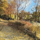 불암산 순환산책로 이미지